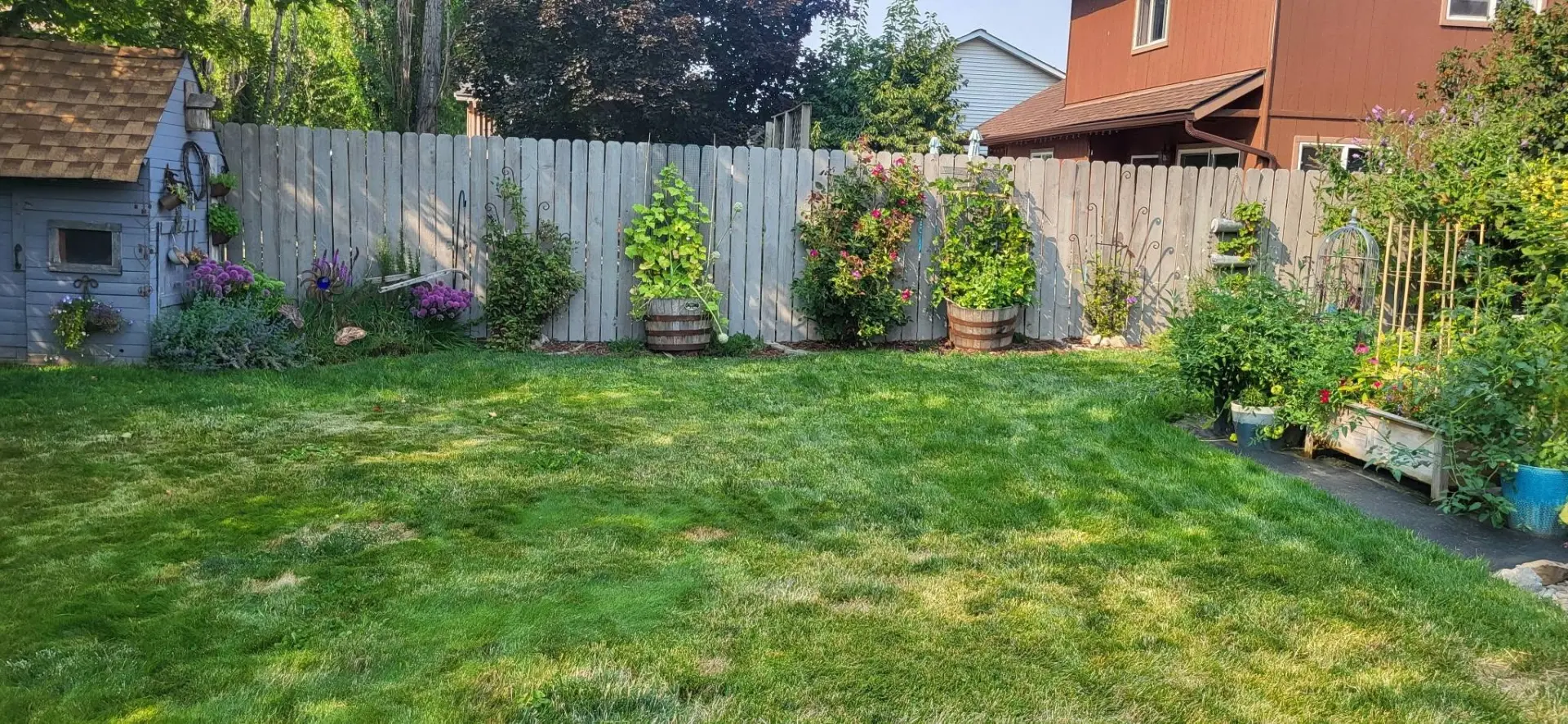 Maintained backyard with garden beds along a repaired wood fence